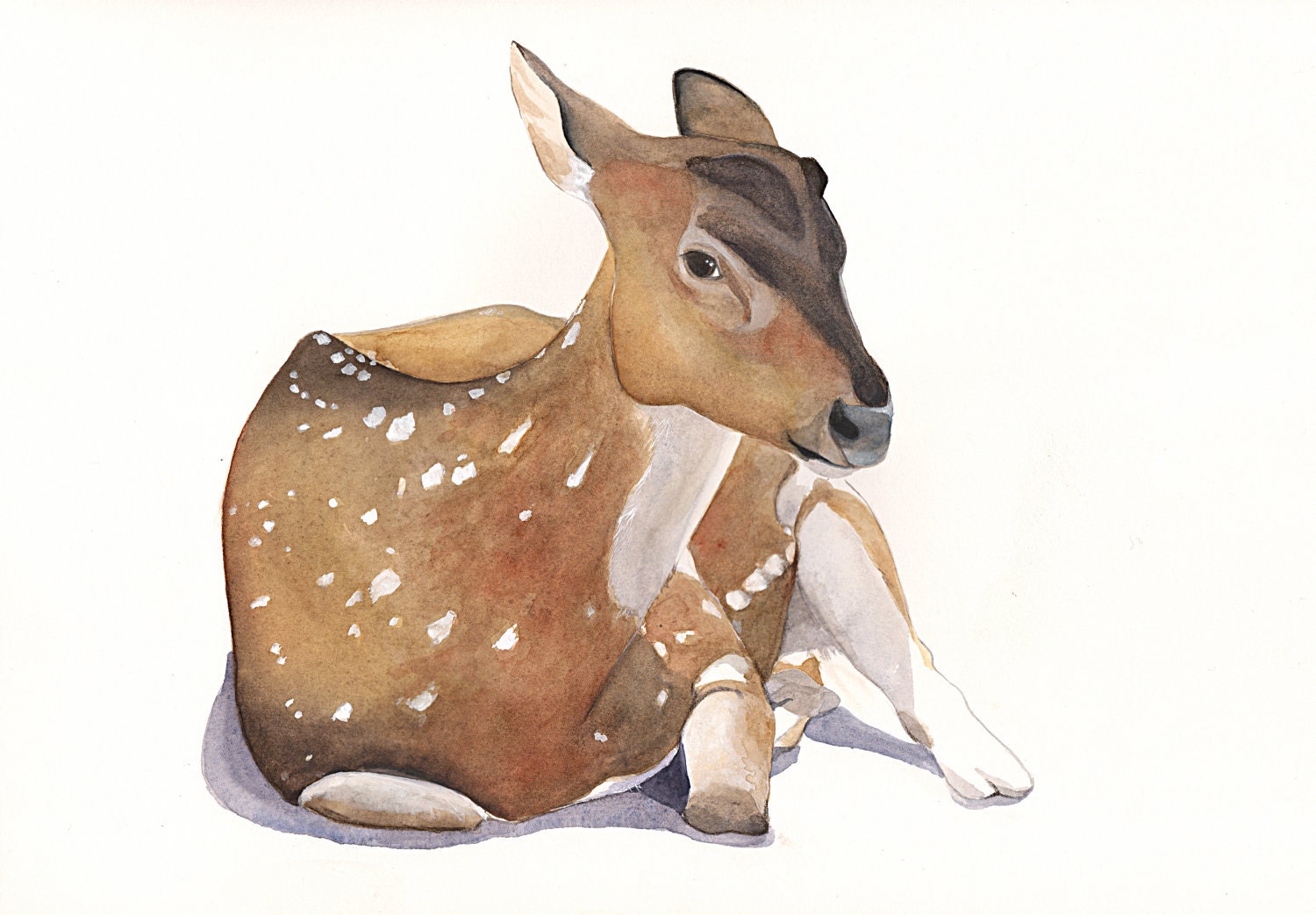 Deer Painting - print of watercolor painting A4 print