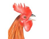 Rooster Painting -nature natural urban homestead farm country decor-  Print of watercolor painting 5 by 7 print