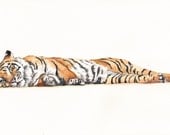 Tiger Painting- T071- print of watercolor painting - A4 print