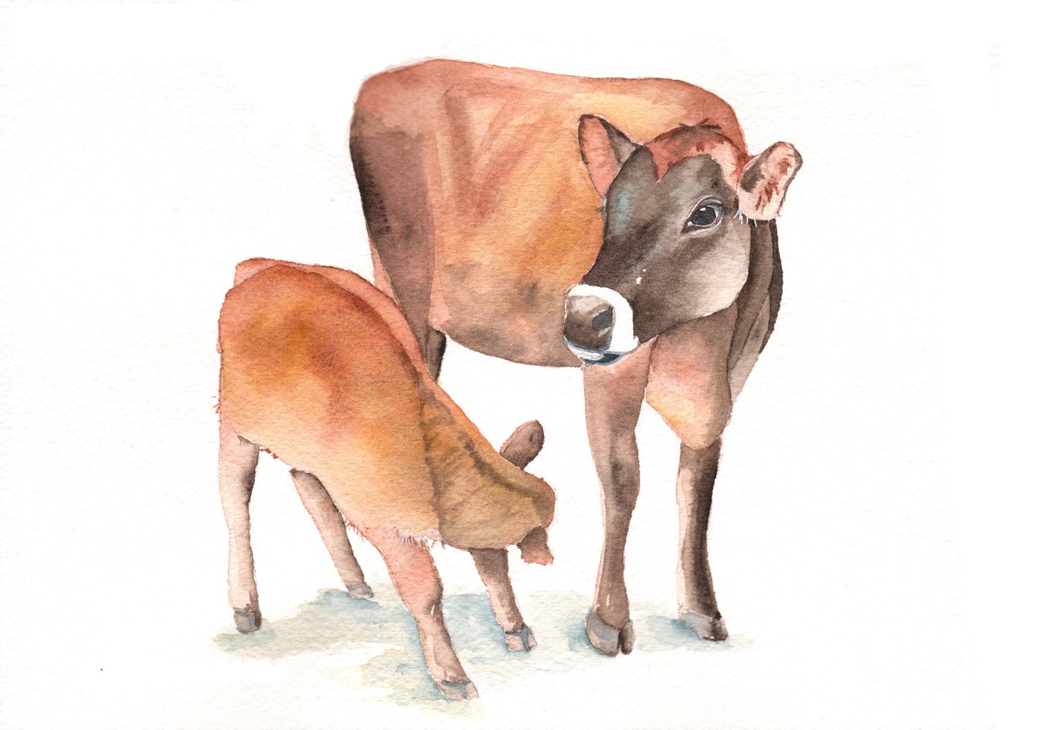 Cow Painting farm country homestead natural rustic art decor -C082-  print of watercolor painting 5 by 7 print