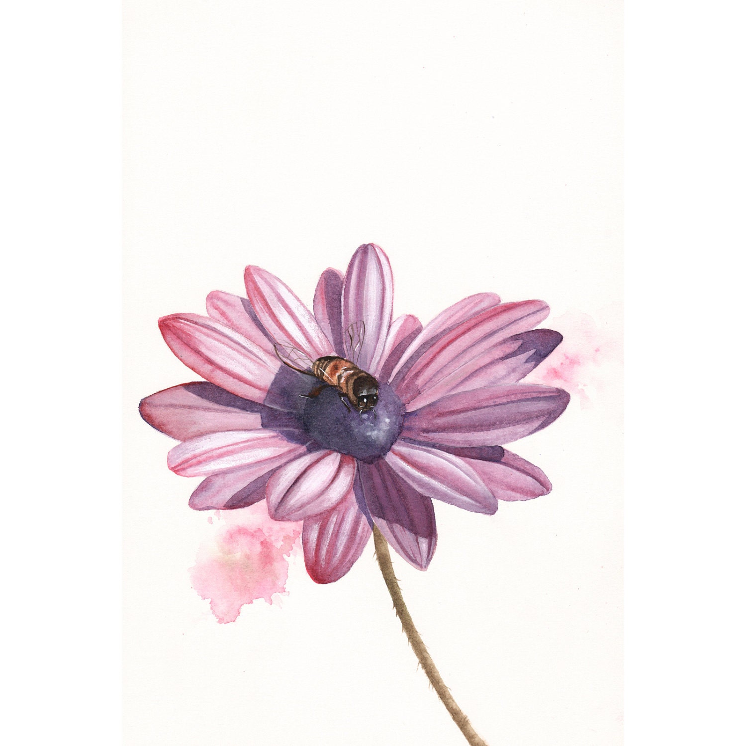 Daisy Painting - Print of Watercolor Painting - bee flower art- 5 by 7 print