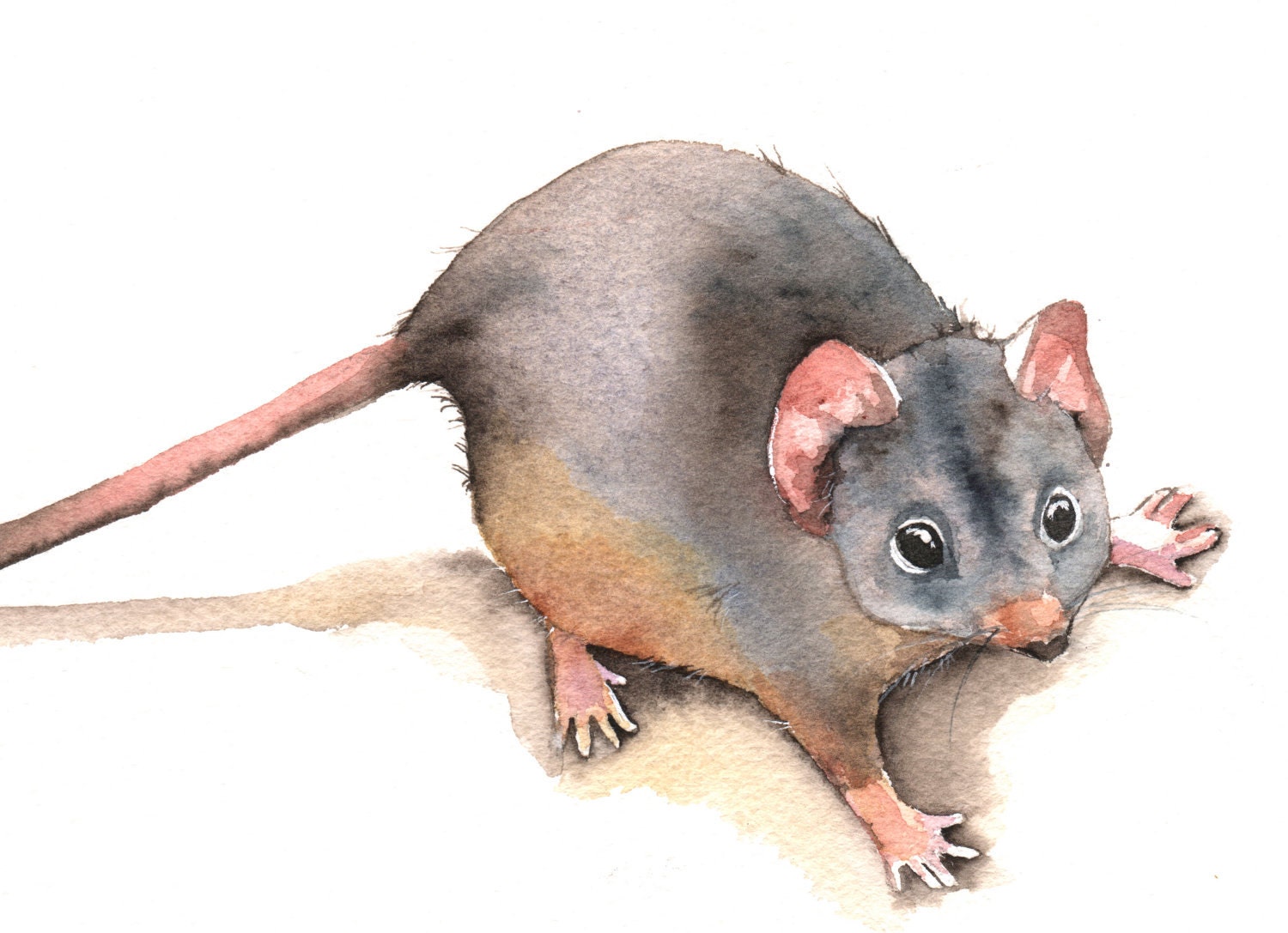 Mouse painting - M016- print of watercolor painting- 5 by 7 print