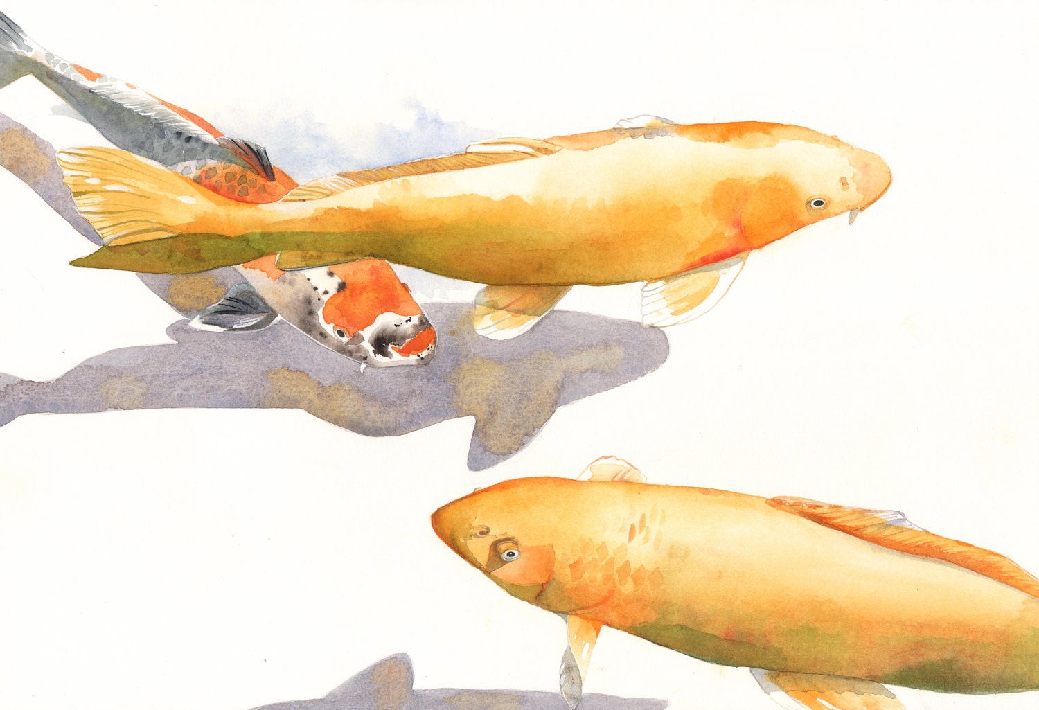 Koi Painting - print of watercolor painting FISH A4 print