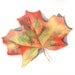 Autumn Leaf Painting - Maple leaf - L017- ORIGINAL watercolor painting