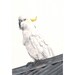 Cockatoo Painting Bird watercolor C019 print of watercolor painting A4 print