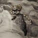 Azrael's Wing Salvaged Vintage Rhinestone Brooch
