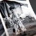 Vintage Circus Photo Album, c. 1951
