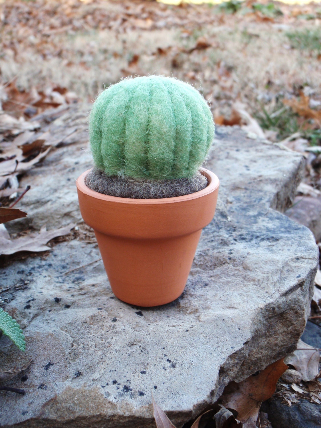 Needle Felted Wool Barrel Cactus in Terra Cotta Pot - Made to Order