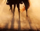 Dust 8 x 10 Fine Art Horse Photography