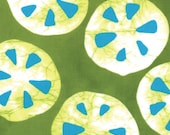ON SALE Stitch In Color by Malka Dubrasky for Moda  Acid Green 23201 13  - quilting fabric - cotton fabric