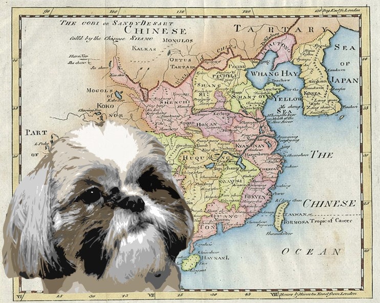 Dog Art Pet Print Animal Poster Shih Tzu Vintage Map Retro Map