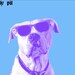 Dog Art animal art pet art illustration Print Party Pit