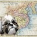 Dog Art Pet Print Animal Poster Shih Tzu Vintage Map Retro Map