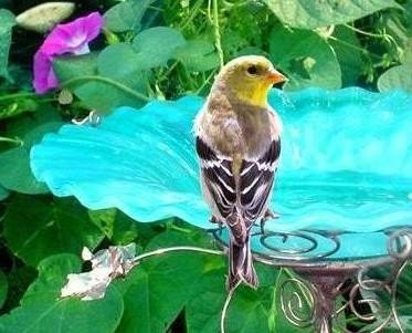 Garden Art BIRD BATH, stained glass, copper, Aqua Blue, home and garden, outdoor, garden stake