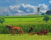 Country Photograph - Amish - Farmer - Rustic Photography - Pennsylvania Dutch - Farm - Countryside - Fine Art Photograph - Art - 6X9