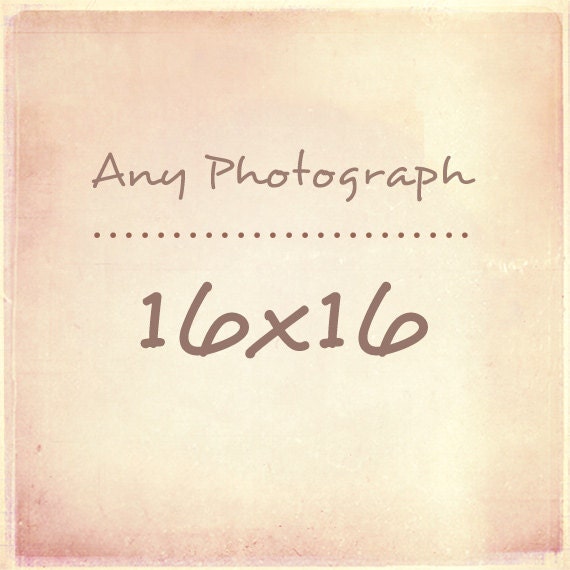 Any Photograph as a 16x16 Print