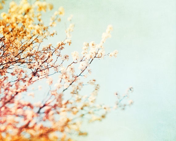 Nature Photography - pastel tree blue peach spring orange yellow mint yellow pale branches wall prints - 8x10 Photograph, "Only a Dream"