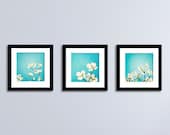 Aqua Blue Photo Set - flower photography dogwood floral teal decor spring art prints white yellow nature photography - Three 5x5 Photographs