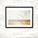 Beach Grass Photography - print neutral light brown white photography seashore botanical art country rural countryside - 8x12 Photograph