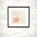 Beach Photography - beach photograph starfish sand cottage seashore sea shore fine art photo cream white beige wall art - 8x8 Photograph