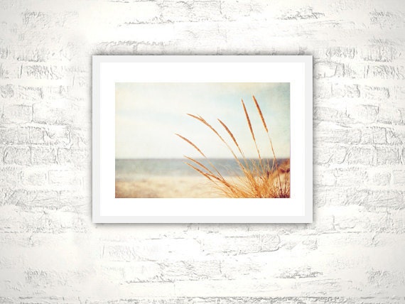 Beach Grass Photography - print neutral light brown white photography seashore botanical art country rural countryside - 8x12 Photograph
