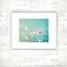 Flower Photography - aqua blue pink spring wall art photos pastel decor pale fine art photography pale white teal flower - 8x10 Photograph