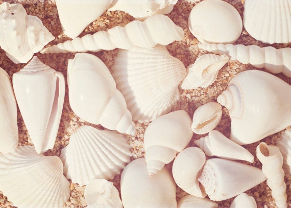Beach Photography Set - Four 5x7 Photographs - ocean seashell photo prints - mint green turquoise cream pastel beige - seashore wall art