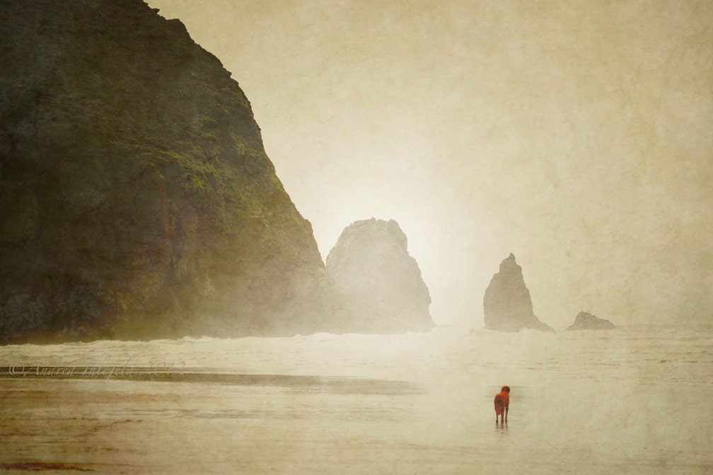 Cannon Beach Dog Photography Print 11x14 Fine Art Rustic Oregon Haystack Rock Ocean Dreamy Landscape Photography Print.