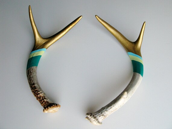 Gold, Blue, Yellow & Green Striped Antler SET