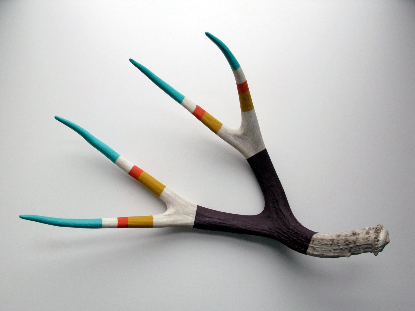 Turquoise, Orange, Yellow and Purple Striped Mule Deer Antler