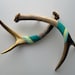 Gold, Blue, Yellow & Green Striped Antler SET