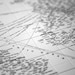 Typographic World Map