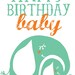 Happy Birthday Baby - 2 elephants