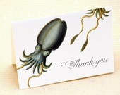 Cuttlefish Thank You Note Set of 8 Cards
