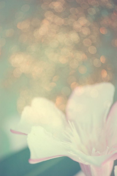 Flower photograph- pastel, bokeh, pale pink, girly, teal, blue green, colorful, floral, spring, home decor fine art photography 5x7 print
