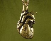 Anatomical Heart Necklace 24 Karat Gold Plated Bronze Heart Pendant on 24 " Gold Plated Chain