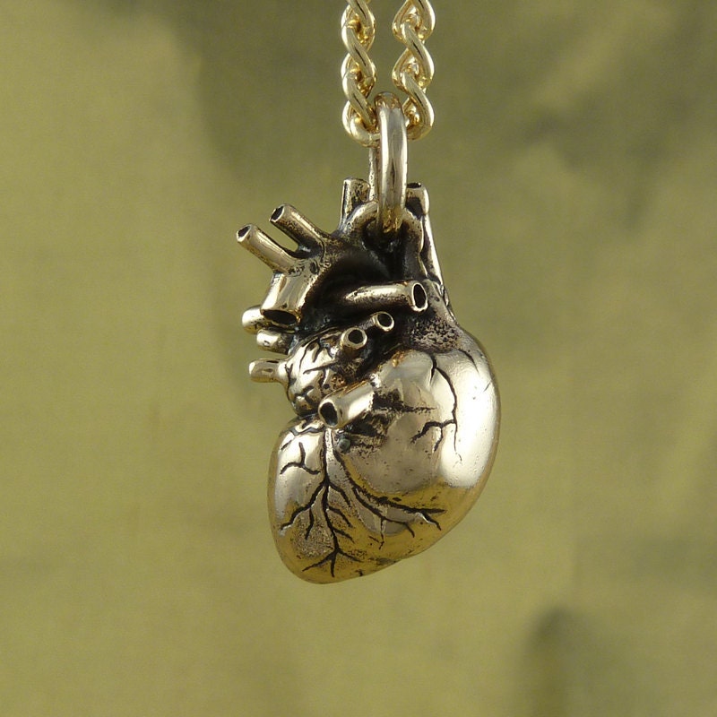 Anatomical Heart Necklace - Bronze Anatomical Heart Pendant on 24" Gold Plated Chain