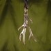 Antler Necklace Bronze Antler Pendant on Leather - Deer Necklace