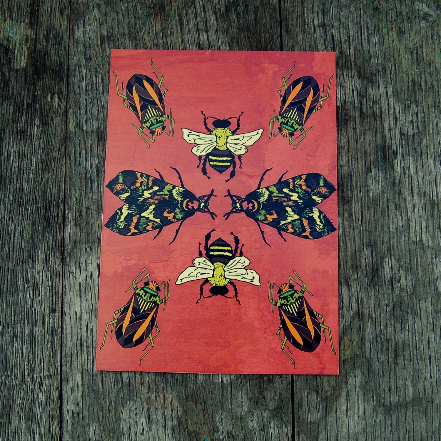 Bug Collage Print