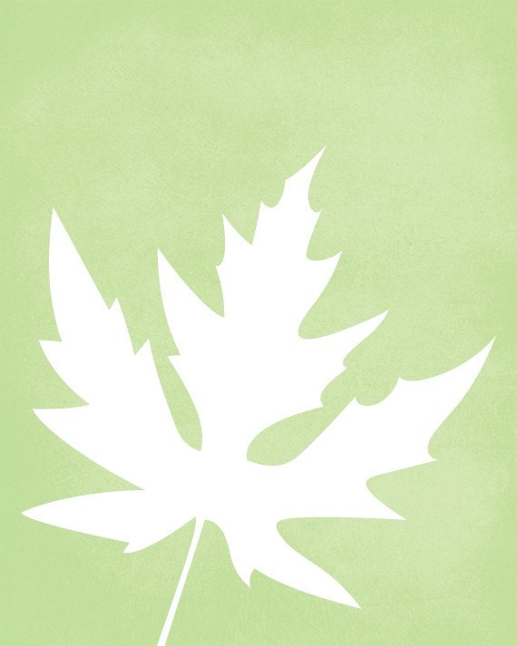 Leaf Set Art Print / Choose from Six Species / 8x10 / Wall Art Poster