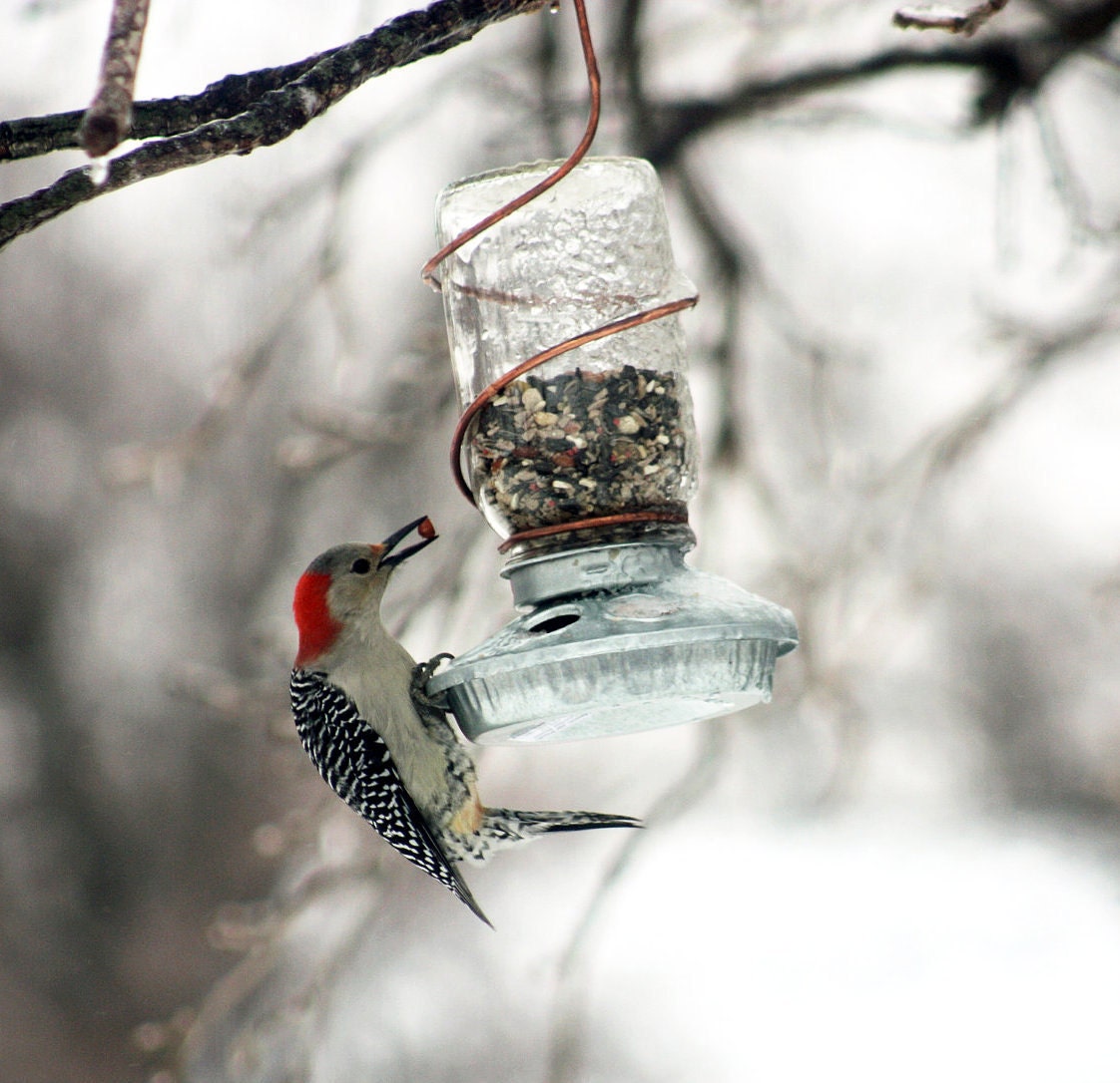Mason Jar Bird Feeder With Copper Hanger Upcycled Rustic Country
