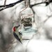 Mason Jar Bird Feeder With Copper Hanger Upcycled Rustic Country