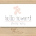 One Of A Kind Premade Logo Design, Will Not Be Resold (Includes Watermark)