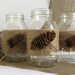 BURLAP PINECONE MASON Jars, Woodland Wedding, Pinecone, Jute Rustic, Farm House, Decoration
