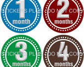 Monthly Onesie Stickers Boy Dot Circles Primary Colors - 1-12 Months Plus BONUS Just Born - Shower Gift