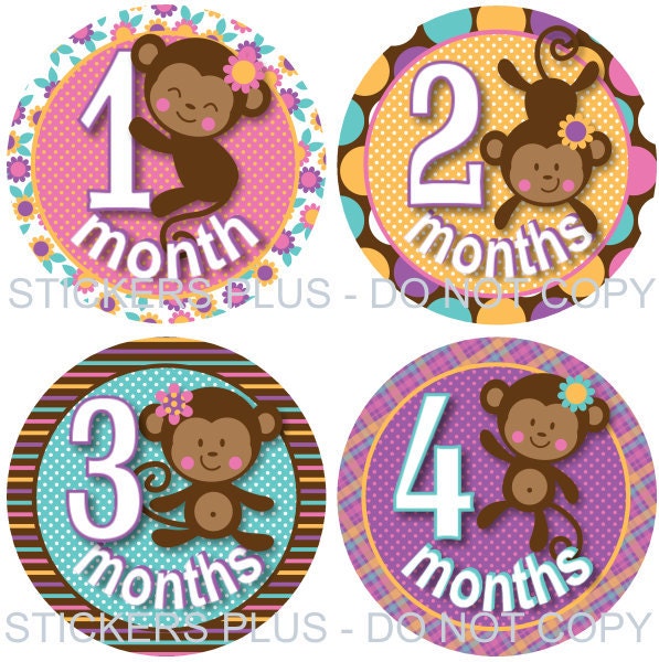 Monthly Onesie Baby Stickers Girl Circles Cute Monkey Pink Lilac Brown Blue Yellow Dots Stripes Flowers Plaid - 1-12 Months Just Born