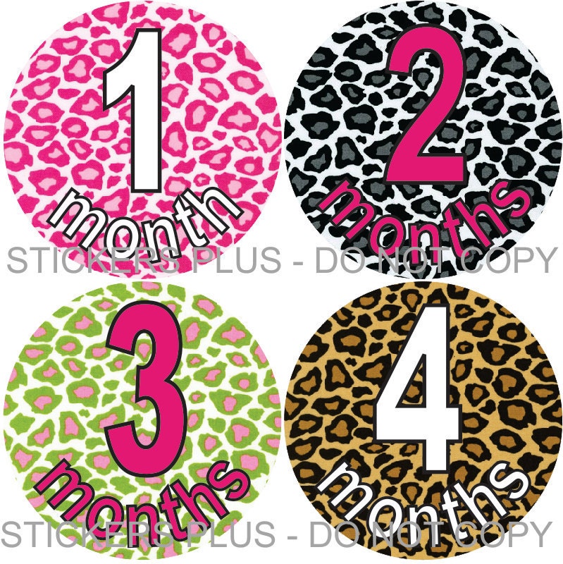 Leopard Cheetah Baby Girl Monthly Onesie Stickers Plus Just Born 1 - 12 Months Pink Green Black Brown