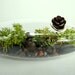 Modern Vessel Lichen Moss Terrarium