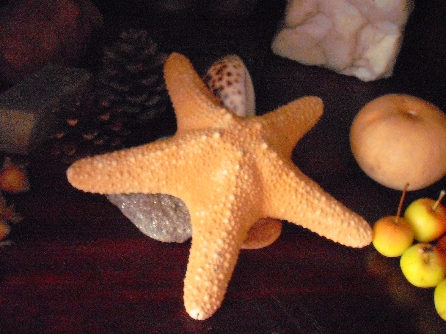 Large Starfish