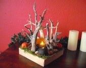 Wild Wiz Candle Bowl nature wilderness fruits fertility